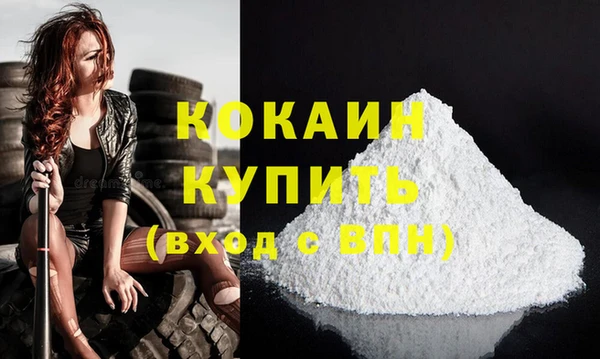 шишки Коряжма