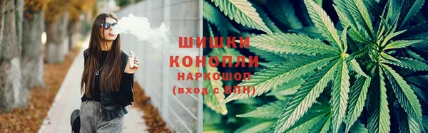 спайс Алзамай