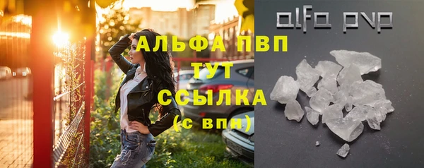 шишки Коряжма