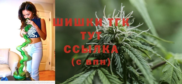 амф Костерёво